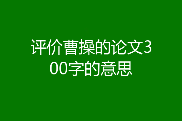 评价曹操的论文300字的意思