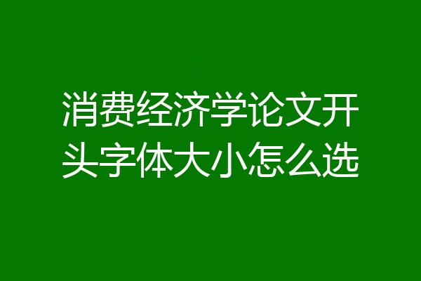消费经济学论文开头字体大小怎么选