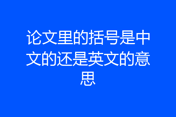 论文里的括号是中文的还是英文的意思