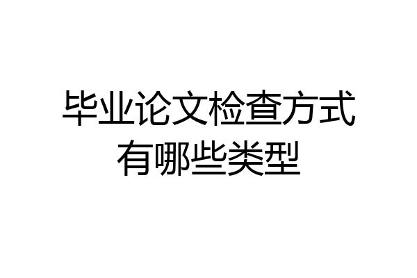毕业论文检查方式有哪些类型
