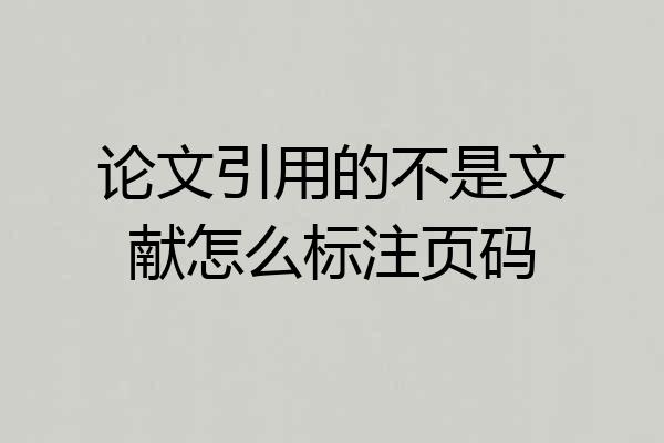 论文引用的不是文献怎么标注页码