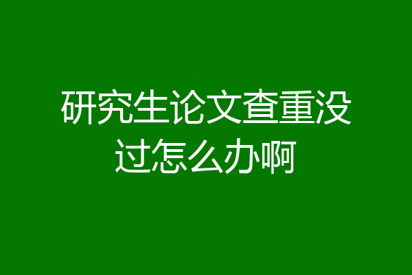研究生论文查重没过怎么办啊