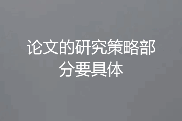 论文的研究策略部分要具体