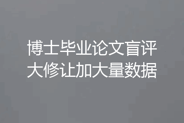 博士毕业论文盲评大修让加大量数据