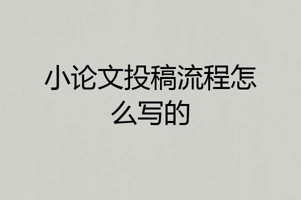 小论文投稿流程怎么写的