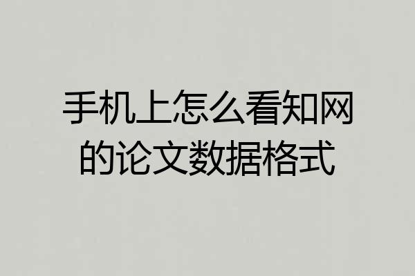 手机上怎么看知网的论文数据格式