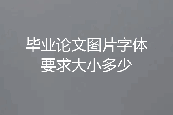 毕业论文图片字体要求大小多少