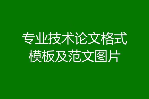专业技术论文格式模板及范文图片
