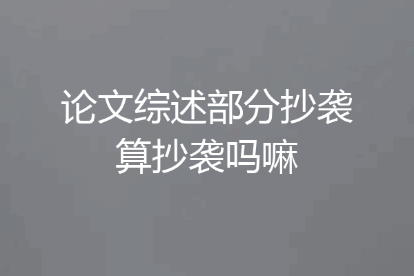 论文综述部分抄袭算抄袭吗嘛