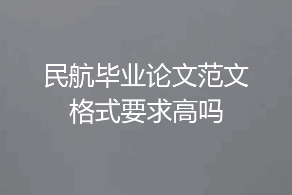 民航毕业论文范文格式要求高吗