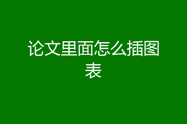 论文里面怎么插图表