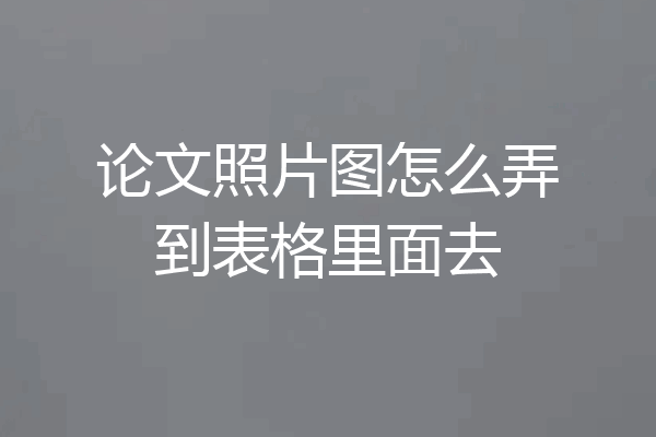 论文照片图怎么弄到表格里面去