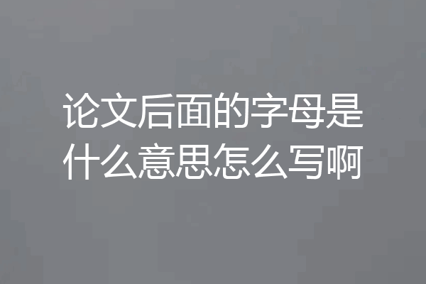 论文后面的字母是什么意思怎么写啊