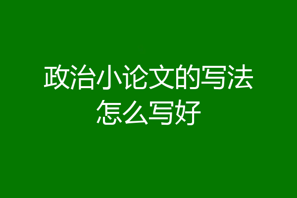 政治小论文的写法怎么写好