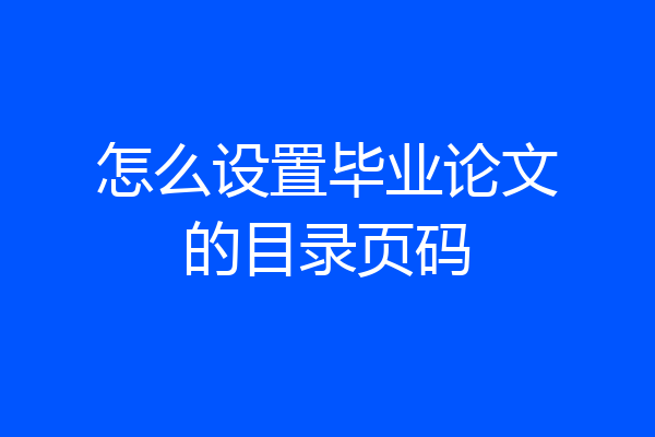 怎么设置毕业论文的目录页码