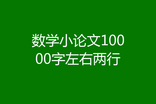 数学小论文10000字左右两行