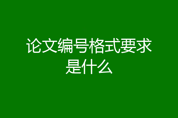 论文编号格式要求是什么