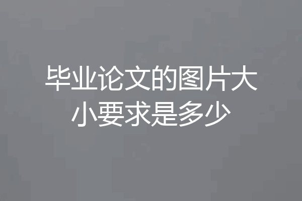 毕业论文的图片大小要求是多少