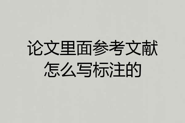 论文里面参考文献怎么写标注的