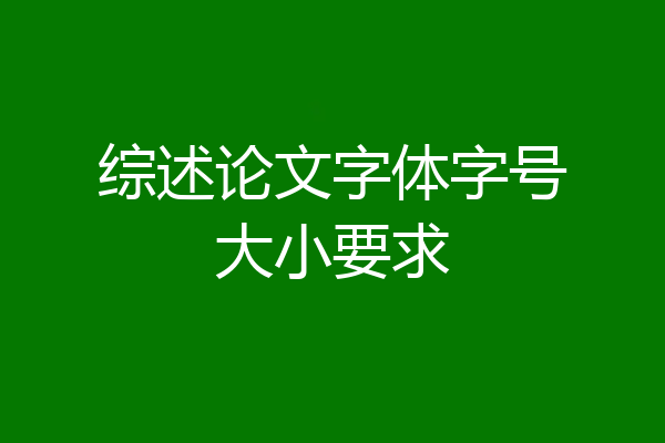 综述论文字体字号大小要求