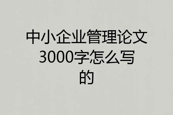中小企业管理论文3000字怎么写的