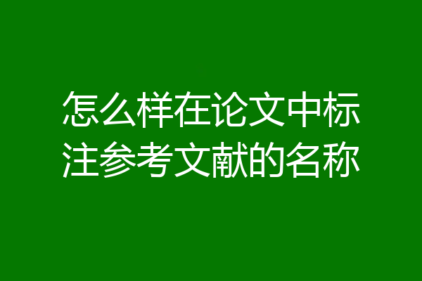 怎么样在论文中标注参考文献的名称