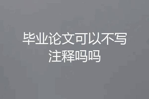 毕业论文可以不写注释吗吗