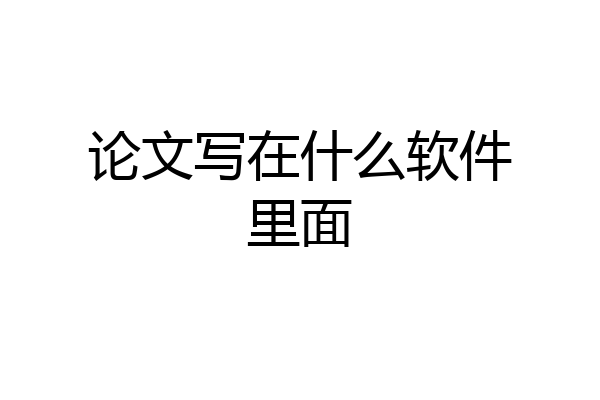 论文写在什么软件里面