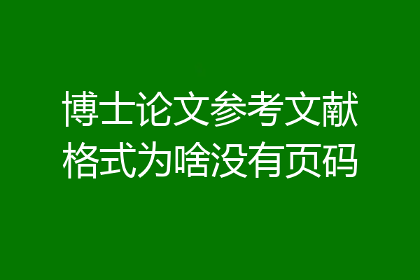 博士论文参考文献格式为啥没有页码