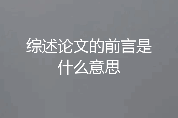 综述论文的前言是什么意思