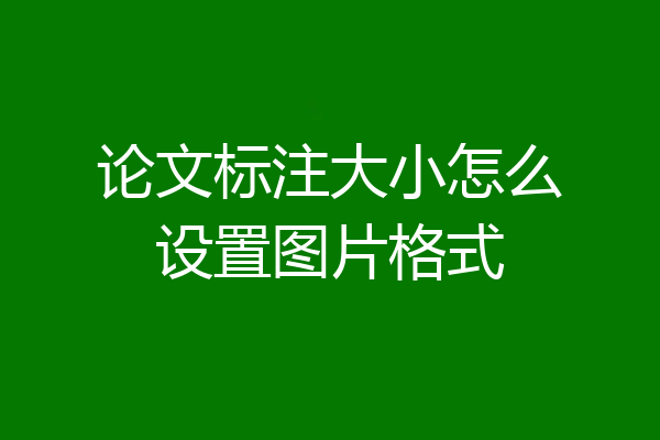 论文标注大小怎么设置图片格式