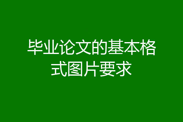 毕业论文的基本格式图片要求