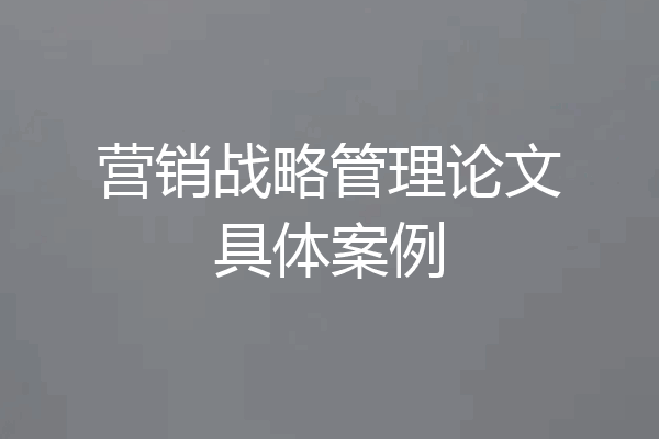 营销战略管理论文具体案例