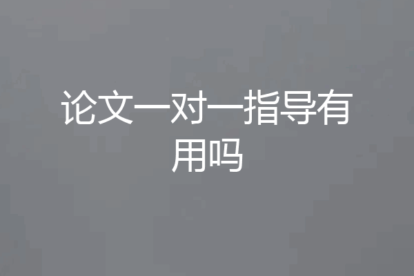 论文一对一指导有用吗