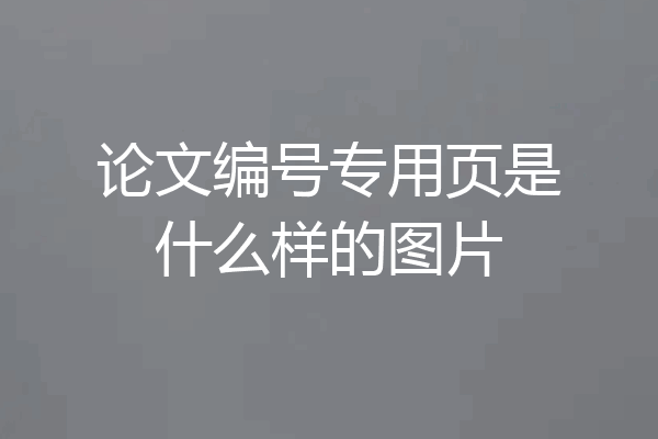 论文编号专用页是什么样的图片