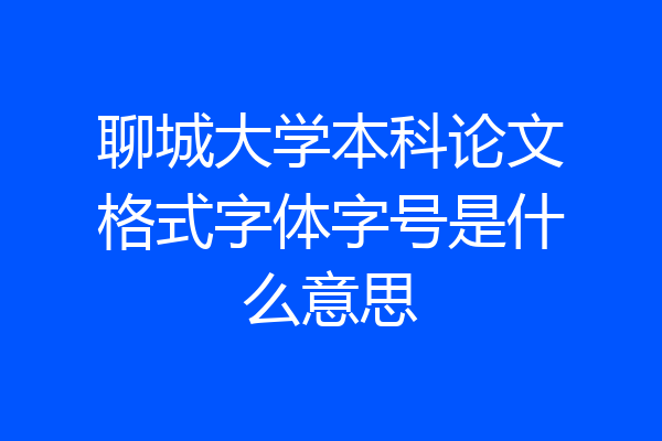 聊城大学本科论文格式字体字号是什么意思