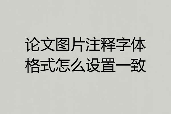 论文图片注释字体格式怎么设置一致
