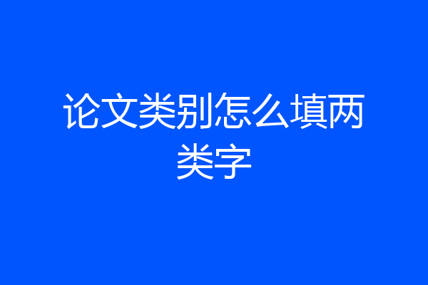 论文类别怎么填两类字