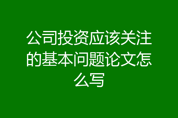 公司投资应该关注的基本问题论文怎么写