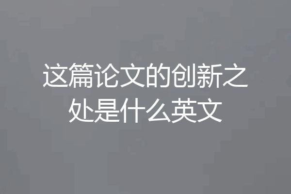 这篇论文的创新之处是什么英文