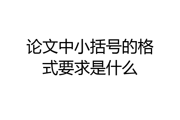 论文中小括号的格式要求是什么