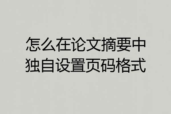 怎么在论文摘要中独自设置页码格式