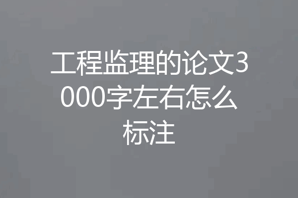 工程监理的论文3000字左右怎么标注