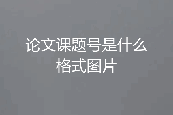 论文课题号是什么格式图片