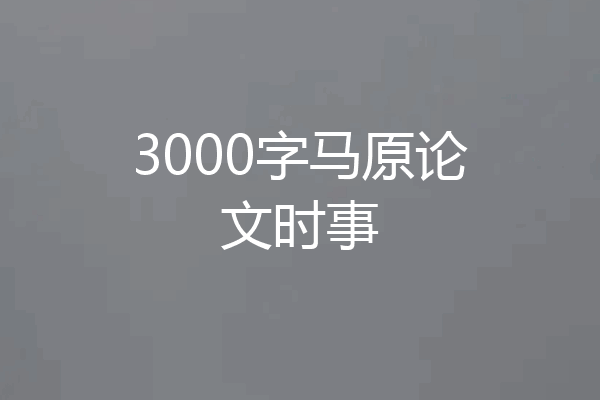3000字马原论文时事