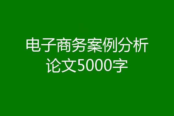 电子商务案例分析论文5000字