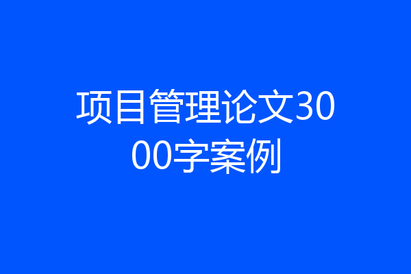 项目管理论文3000字案例