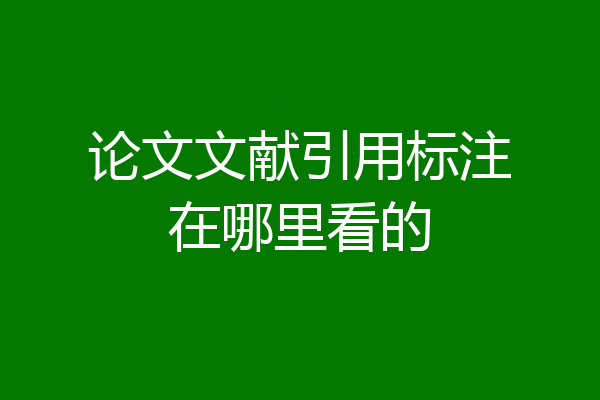论文文献引用标注在哪里看的