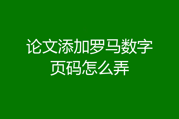 论文添加罗马数字页码怎么弄