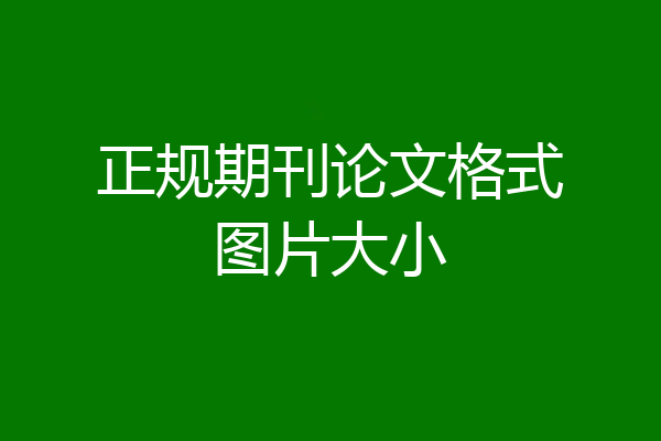 正规期刊论文格式图片大小